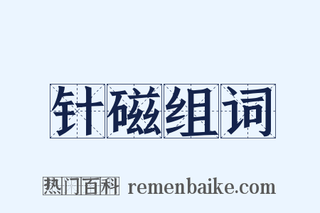 针磁组词是什么意思的图片